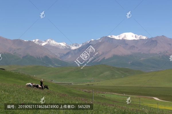 草原風光