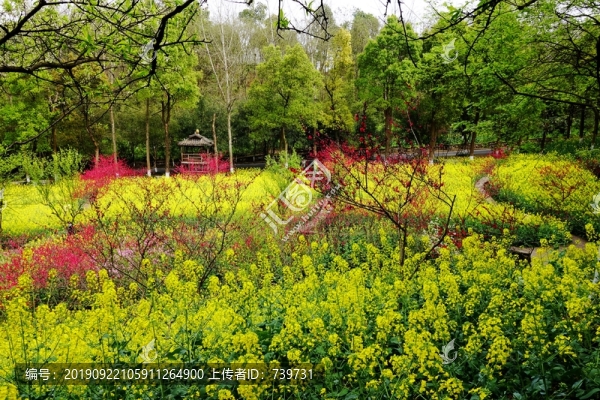 四川美術(shù)學(xué)院