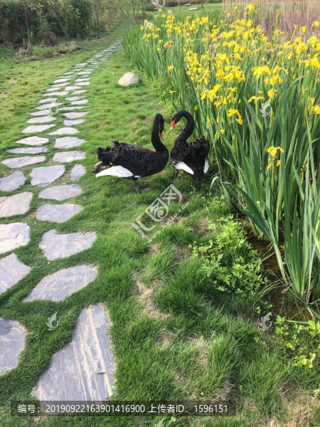 濕地公園