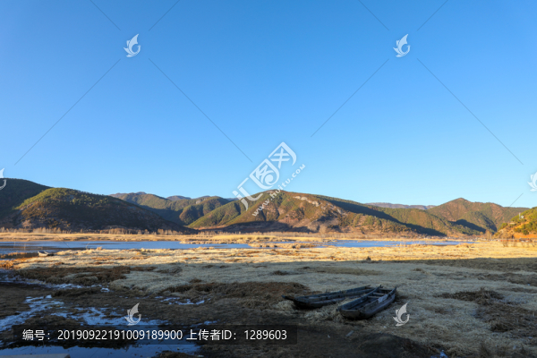 黃色草海里的木舟