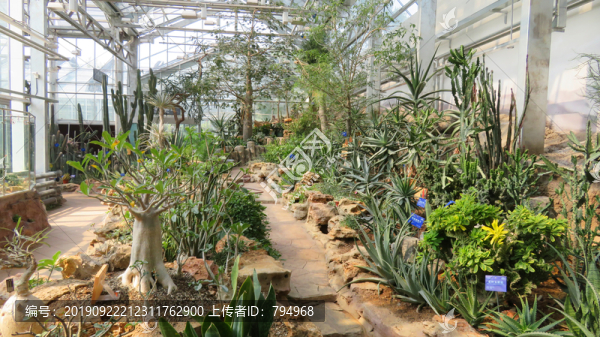 沙漠植物溫室