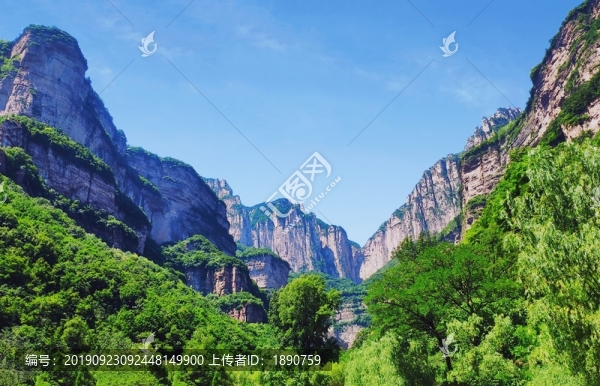 山