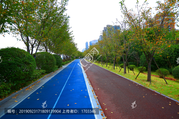 杭州最美跑道