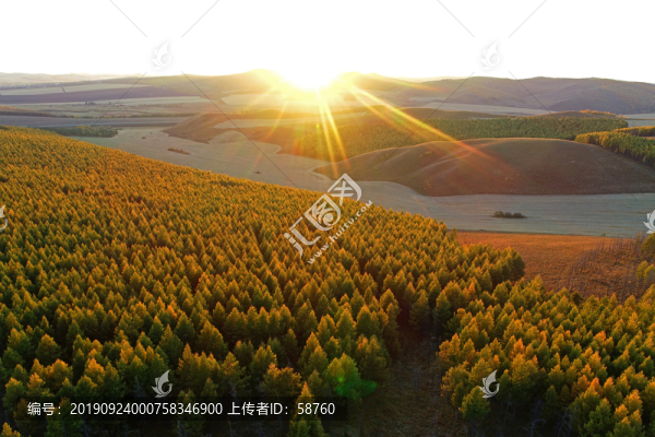 秋季林間農(nóng)田