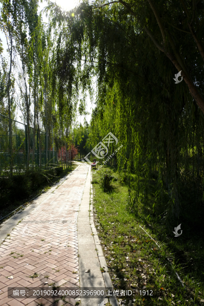 公園小路