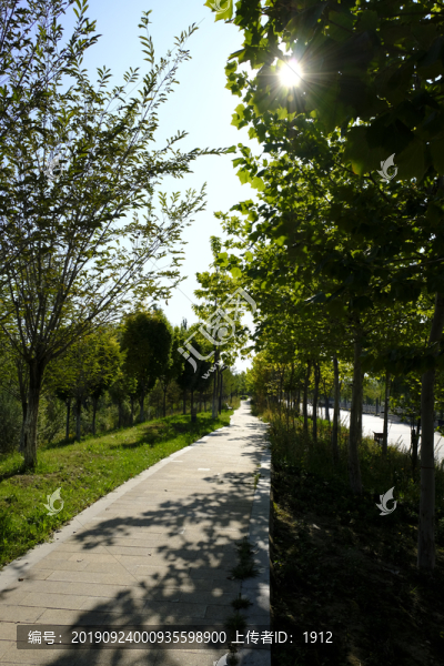 公園小路