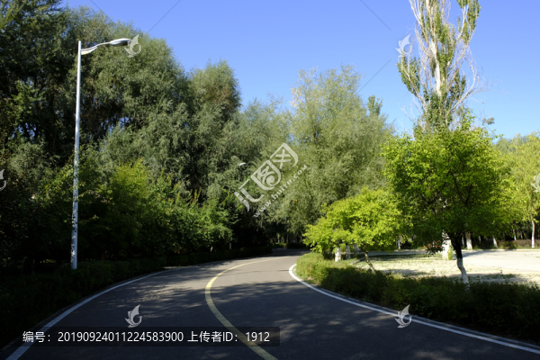 綠樹林