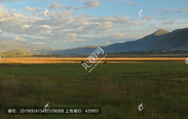 塔公風(fēng)光