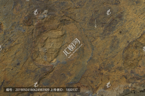 抽象紋理