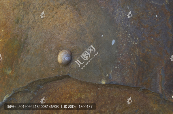 斑駁舊墻