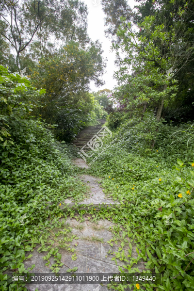 山道