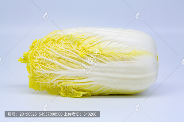 黃芽白