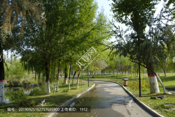 公園小路
