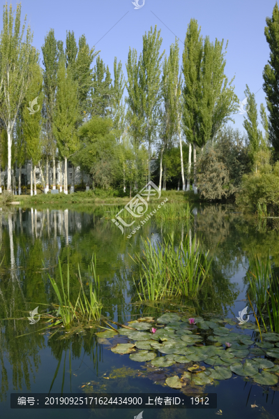 濕地公園