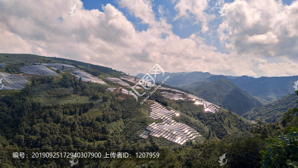 太陽能