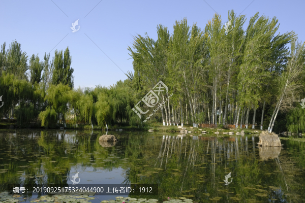 濕地公園