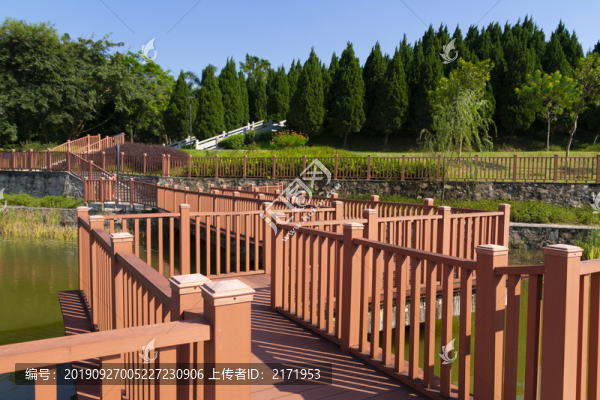 公園木橋