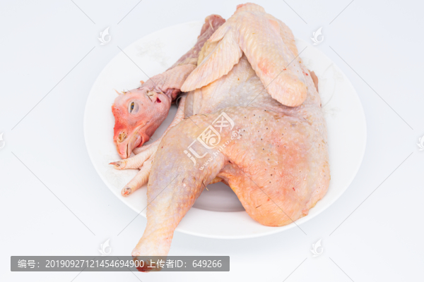 雞肉