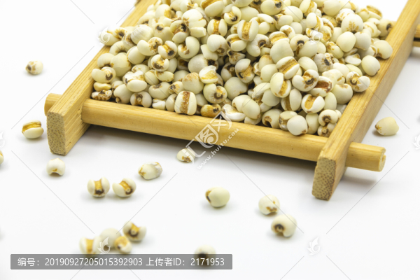 薏米
