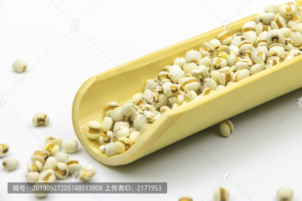 薏米
