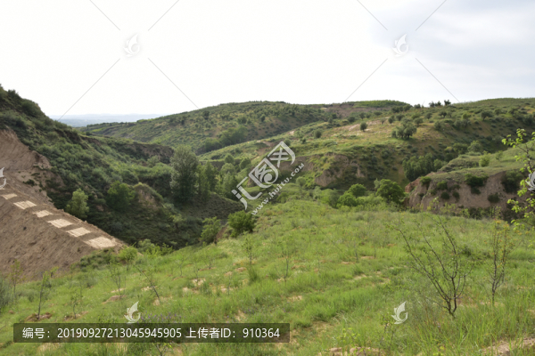 丘陵地勢