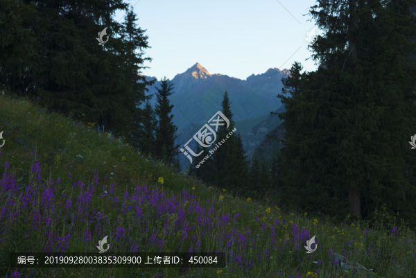 山谷