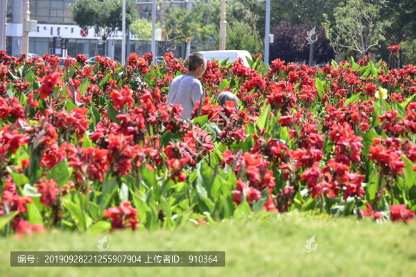 花叢風(fēng)景