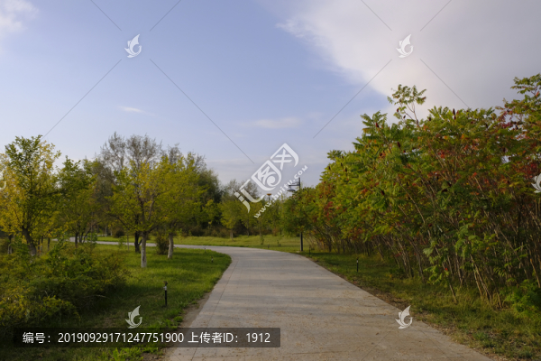 公園小路
