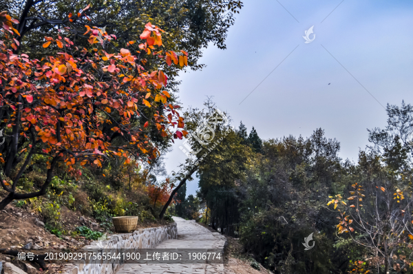 北京香山公園景區(qū)景觀