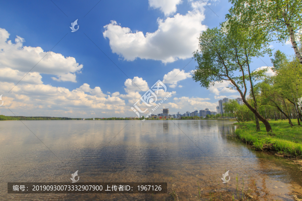 公園園林