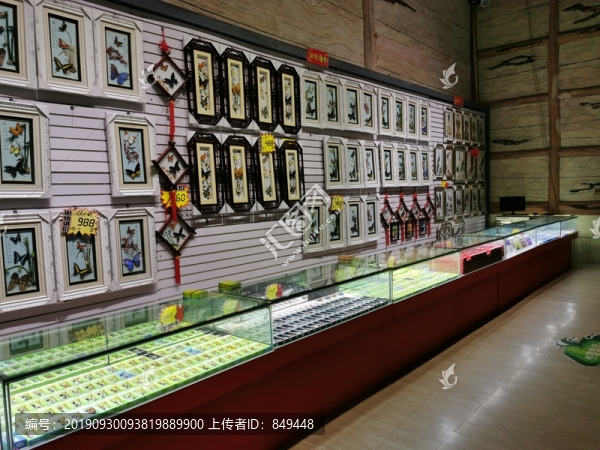 蝴蝶主題展廳