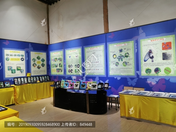 蝴蝶展廳主題背景