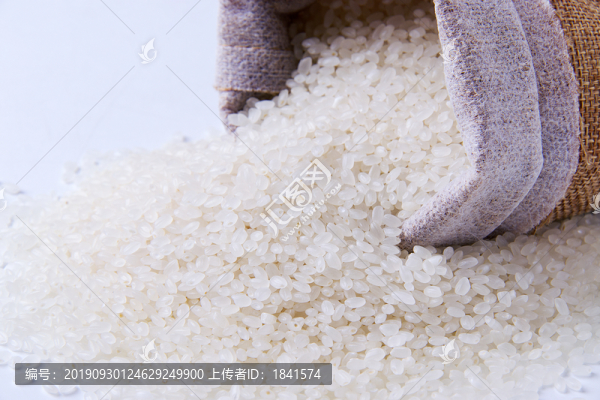 圓粒米