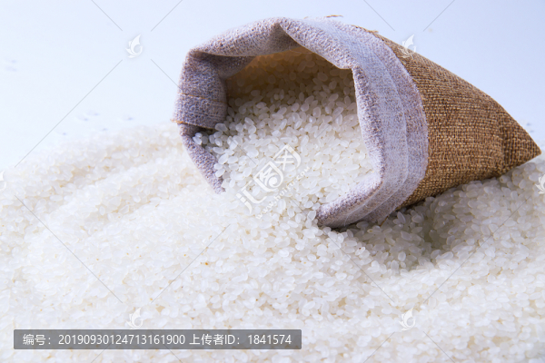 黑龍江大米