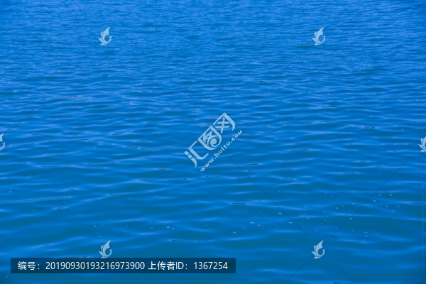 大海