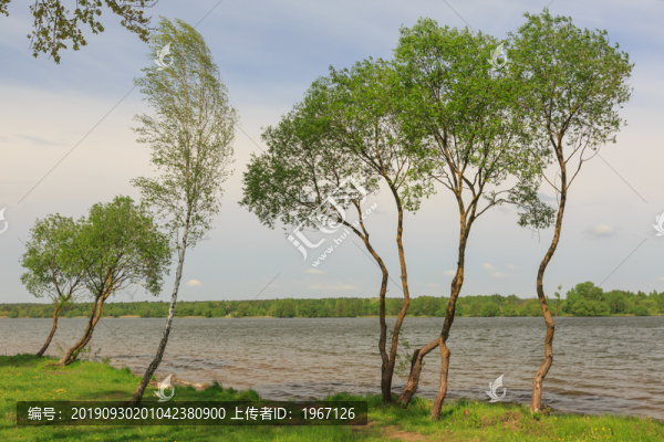 湖泊公園