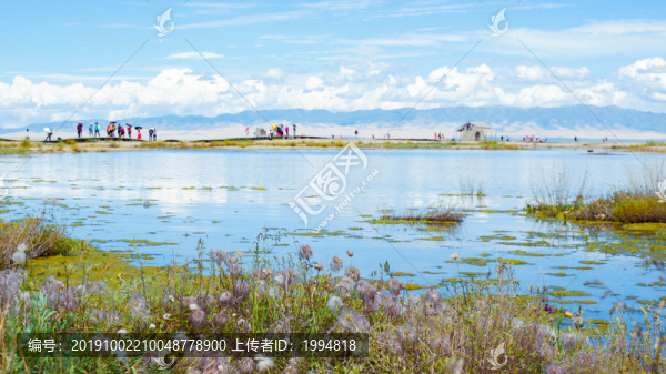 青海湖