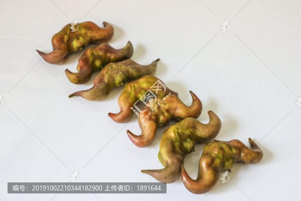 菱角