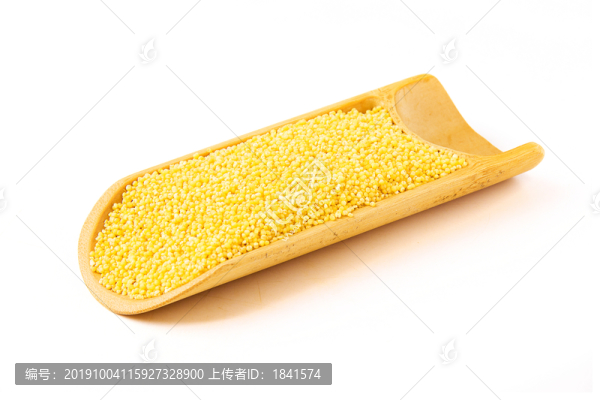 小米紋理