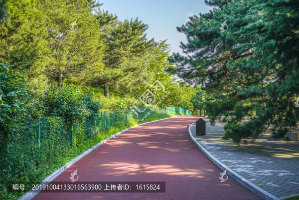 健身步道高清大圖