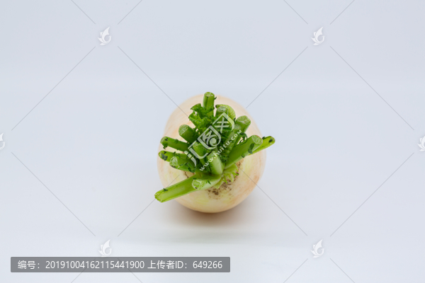 蘿卜頭