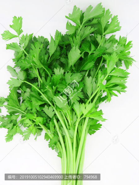 芹菜