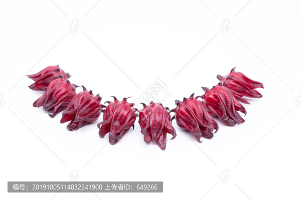 玫瑰茄