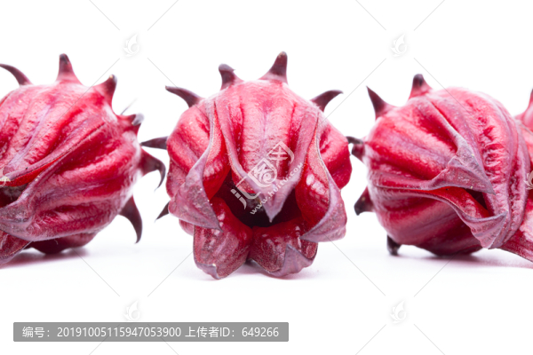 玫瑰茄