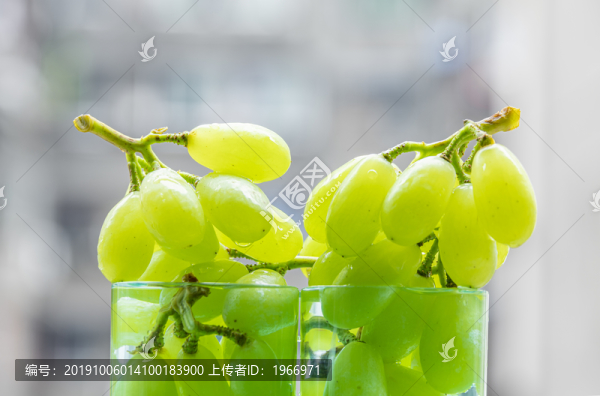 杯子里的青葡萄