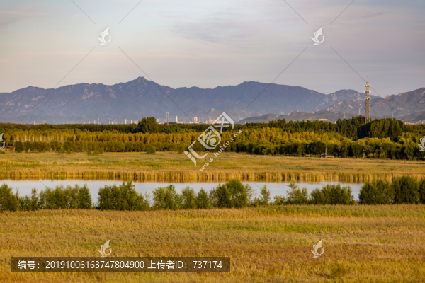 野鴨湖國家濕地公園