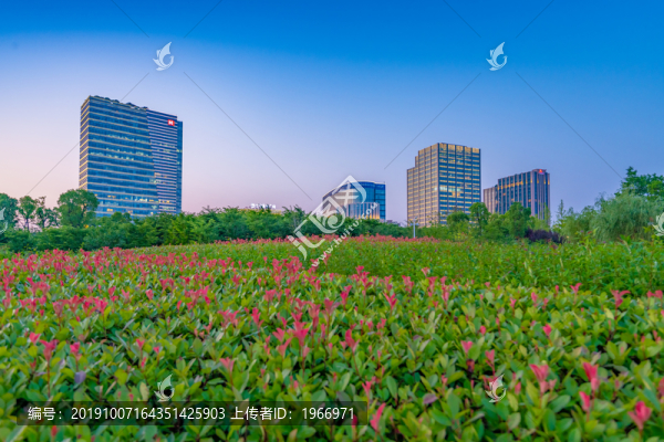 上海大寧公園風(fēng)光