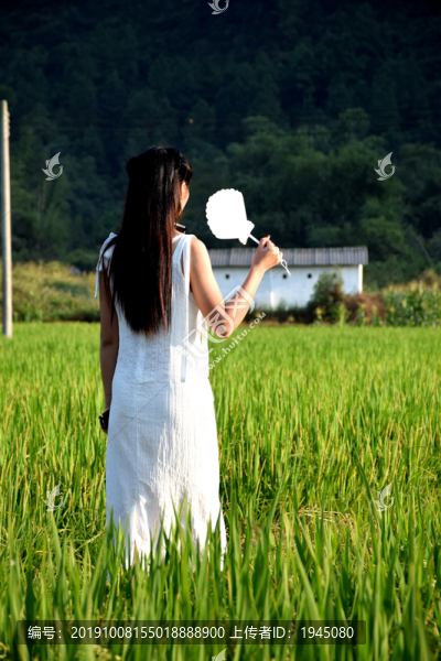 稻田美女