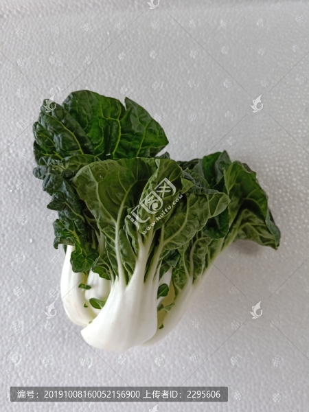 奶白菜