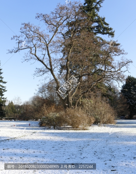 公園一角